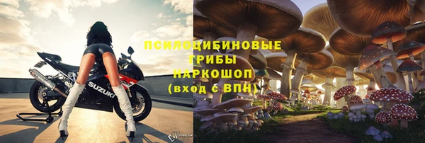 спиды Абаза